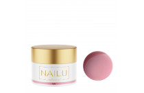 Nailu Prosessional